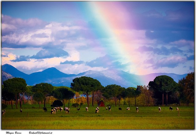 Rainbow teach us about making a difference