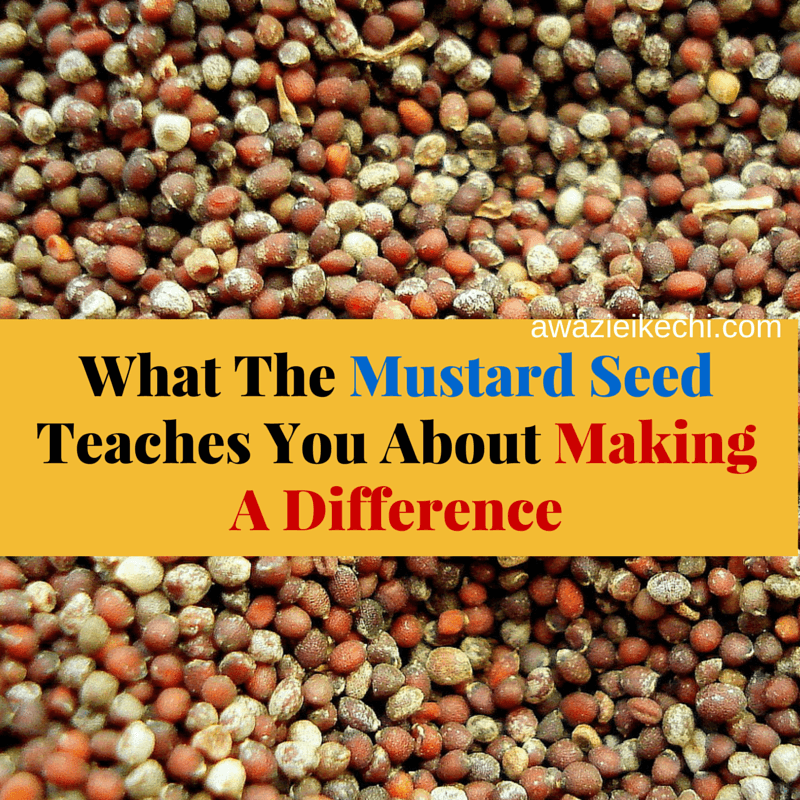 What The Mustard Seed Teaches You About Making A Difference