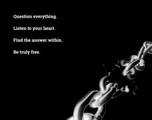 5 Crazy Things You did not Know When You Question Everything